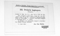 Ovularia haplospora image